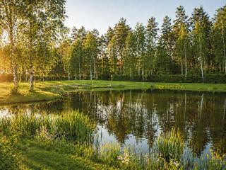 Koszelówka Luxury Spa Bungalov - 4