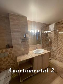 Apartamente Baile Felix Casa Romaneasca - 1