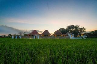 Private villa Marigold private pool - Ubud - 1