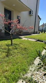 Villa Garden - 9