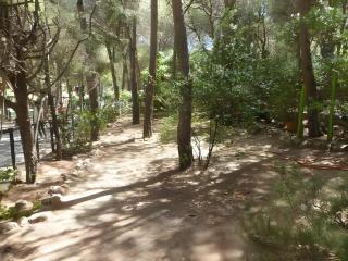 Villa Pinus Village - 4