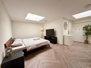 Newly renovated Apartment in Basel ad Basel Card - 0
