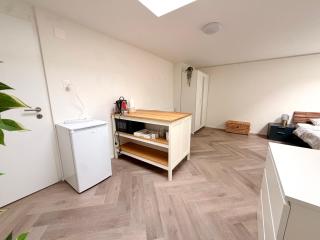 Newly renovated Apartment in Basel ad Basel Card - 1