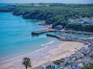 Driftwood Den - 1 Bedroom Apartment - Saundersfoot - 7