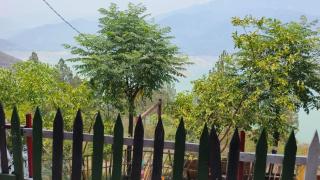 Tehri lake view camp and cottage - 8