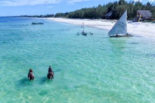 Upside Down Beach Resort - 0
