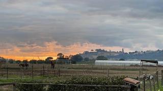 Villa La Spiaggia - 7