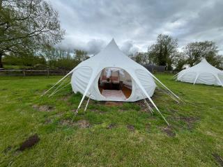 Daisy Bell tent - 3