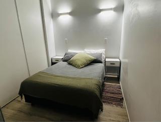 2 Room Apartment Auckland CBD - 1