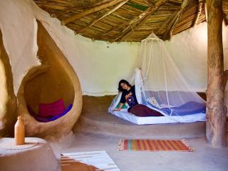 Vinyasa Earth - Mud Homes & nature Stay near Jaipur - 5