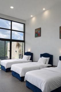 Portofino Villa Farm - 8