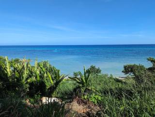Oceanview Studio Apt w Pool Bar & Beach Access - 9