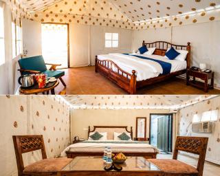 Desert cactus camp Jaisalmer - 8
