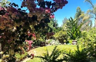 Garden Joy - 7