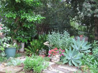 Garden Joy - 5