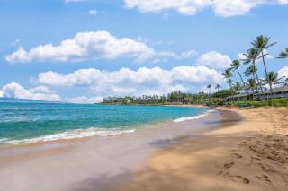 Napili Shores H262 · NS H262 BeachFront Condo Ocean Views Pool H - 6