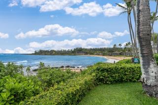 Napili Shores H262 · NS H262 BeachFront Condo Ocean Views Pool H - 1