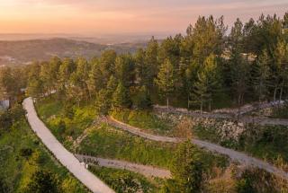 Morrian Sapanca - 2