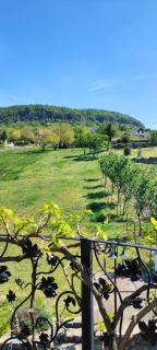 Villa Izabella - 8
