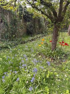 Le Jardin de Stella - 8 personnes - Jardin - 1