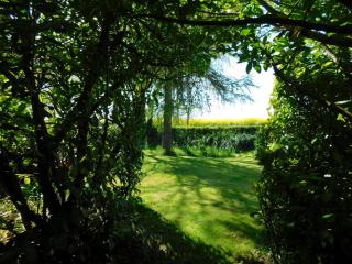 Beechwood Cottage - 5