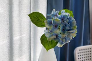 Ferienwohnung mit Parkmöglichkeit - 6