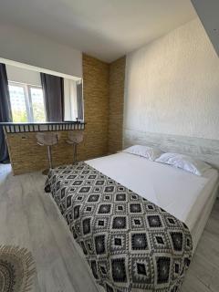 Leyla Studio Ultracentral Pitesti - 7