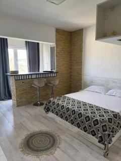 Leyla Studio Ultracentral Pitesti - 6
