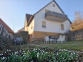 Ferienhaus Werratalsee - 8