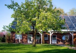 Ferienhof Grönheim - Dachsbau - 7