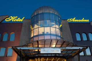 Hotel Amadeus - Wodzisław Śląski - 7