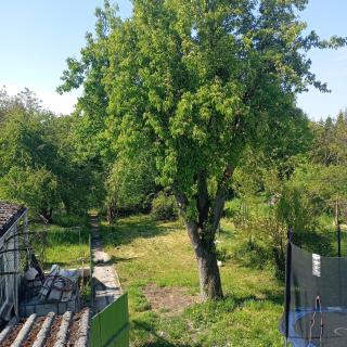 Studio cosy avec terrasse, jardin, proche forêt - 5