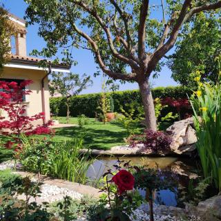Villa with parking & garden Top location Salento - 6