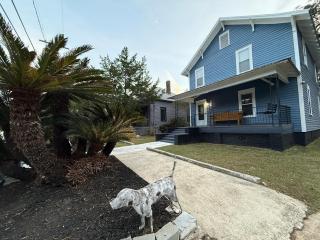 The Sago Palm House - 1