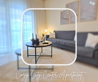 Cozy City Center Apartment - 9