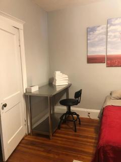 Boston 5BR Near Green Line & BC - 3