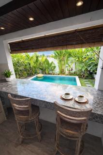 Luxury 2BR Villa with Private Pool, Quiet Canggu - 3