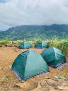 Lily Peaks Homestay - 4