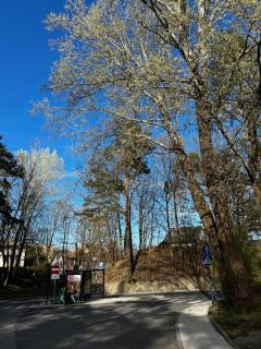 Sopot Forest Apartment - 2