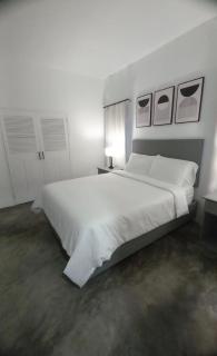 Purevibe Horizon House Ocean View Villa Port Antonio - 4