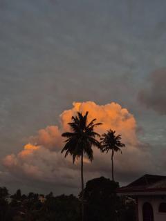 Aurelia Stay Galle - 3