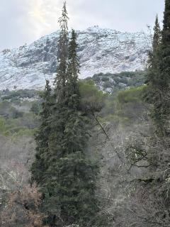 Estrella De La Sierra - 8