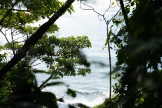 Lodge El Amargal - Reserva Natural, Ecoturismo & Surf - Nuquí - 4