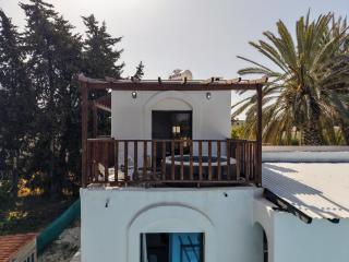 Villa Anemone with private pool and jacuzzi in Polis Paphos - 3