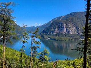 Landhaus am See - Obertraun - Salzkammergut - 6