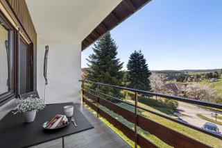Apartment "Das Waldo" - beim Titisee, Ausblick, Stellplatz - 3