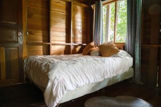 Jungle River Lodge - 3