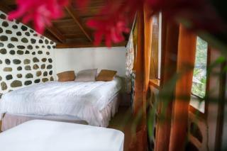 Jungle River Lodge - 2