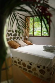 Jungle River Lodge - 3