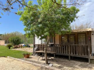 Leisure home on 1000 land - 5